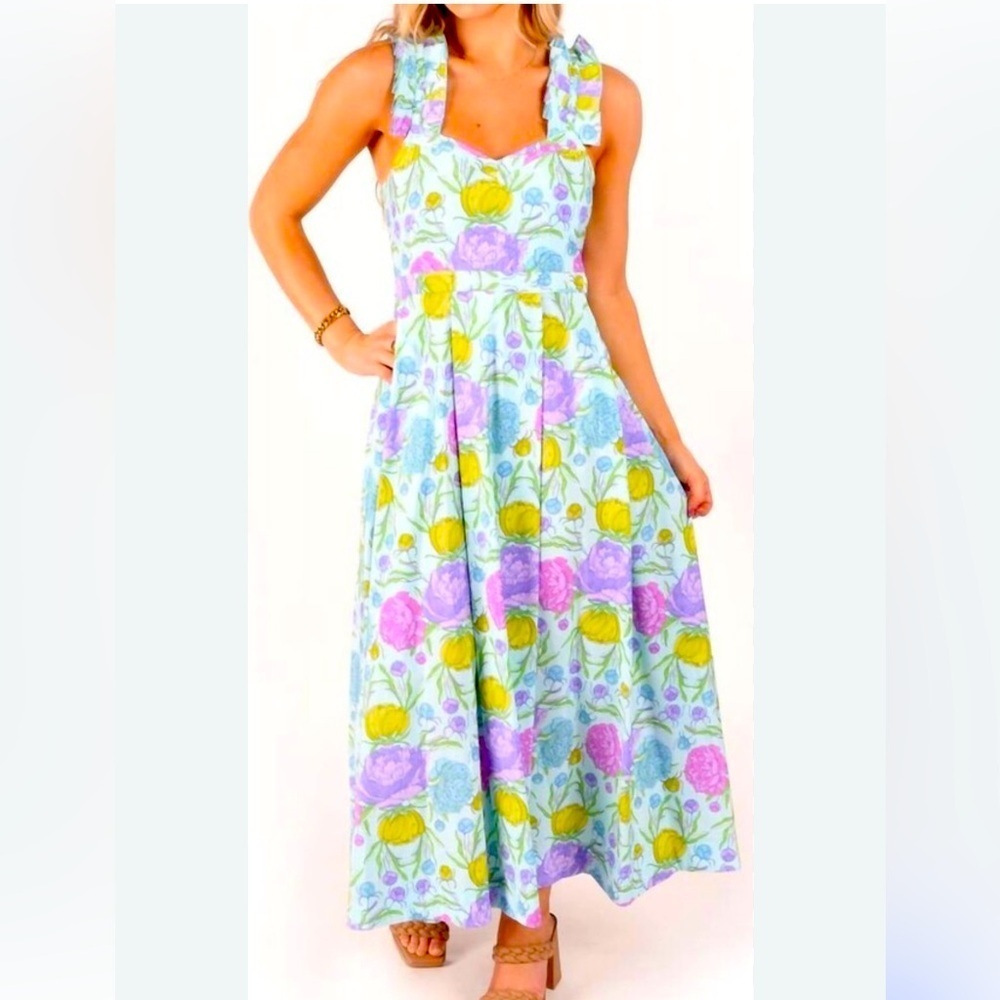 Emily Mccarthy Empire Maxi Dress  New with tag size large Peony party pattern